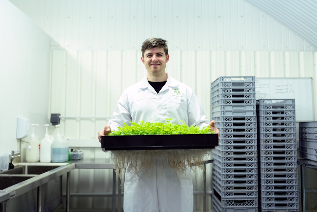About Scientist in a laboratory holding a tray of hydroponic plants, showcasing sustainable agriculture.